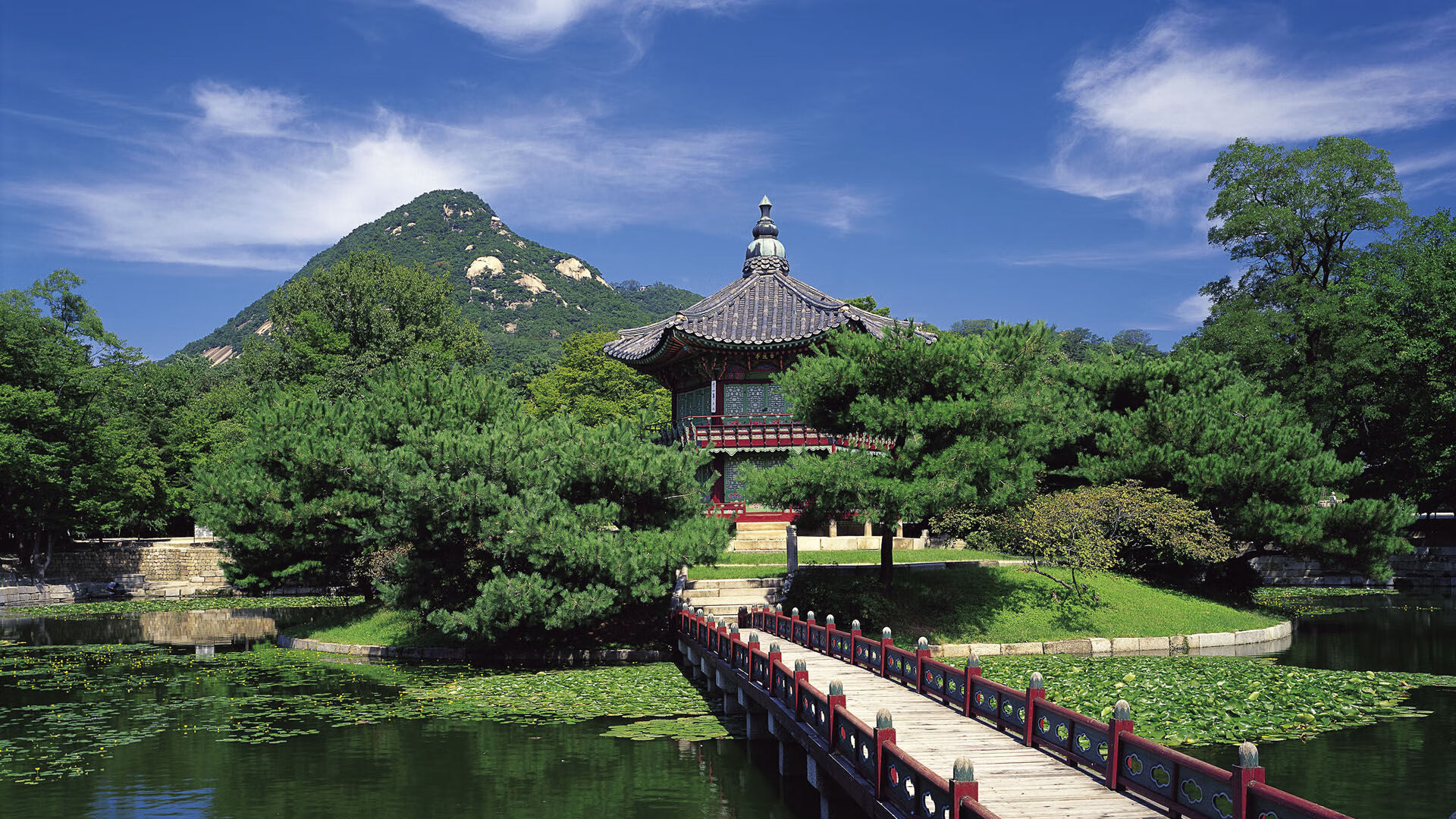 _全天候极限挑战：在不同天气中比拼速度_，极限挑战天气预报美女是谁