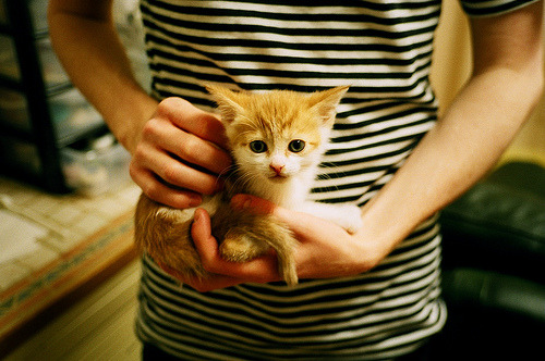 “NBA全明星赛名单公布，看点十足”，nba的全明星赛