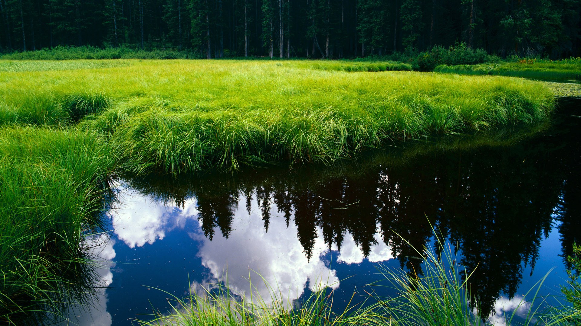 JIUYOU GAMING-“青少年足球夏令营火热报名，开启梦想之旅”，2020全国青少年足球夏令营比赛视频