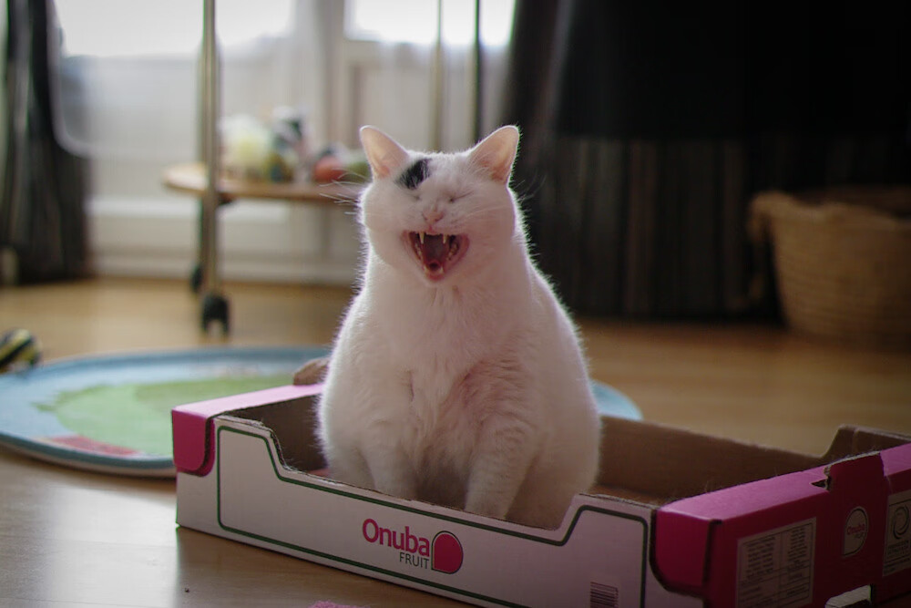 九游网游官网-《守望先锋世界巡回赛，战术布局层层递进》，守望先锋世界比赛