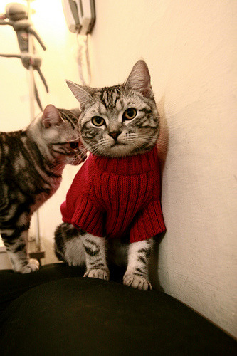 JiuyouAPP下载-《电竞赛事直播效果分析：视听体验不断提升》，游戏电竞类直播节目