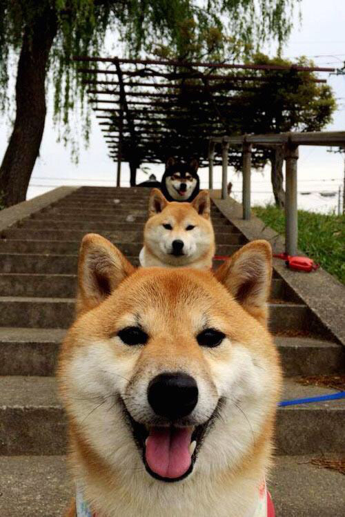 《电竞赛事直播效果分析:视听体验不断提升》,游戏电竞类直播节目