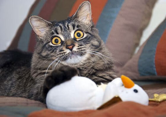 Jiu You-史上最华丽的“突破过人”瞬间，视觉盛宴！，突破 top