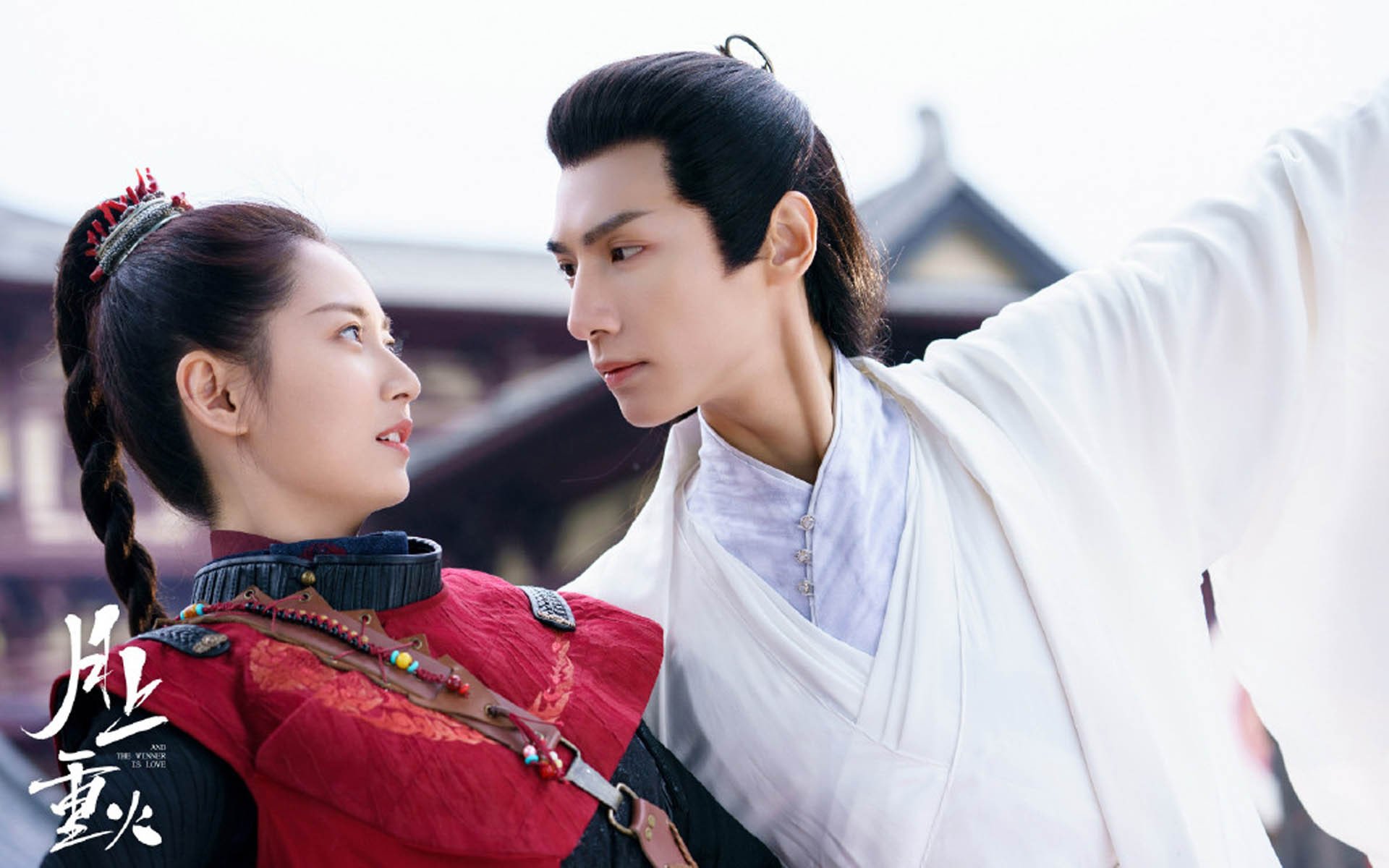 马术障碍赛，优雅骑手的速度较量，马术障碍训练图册