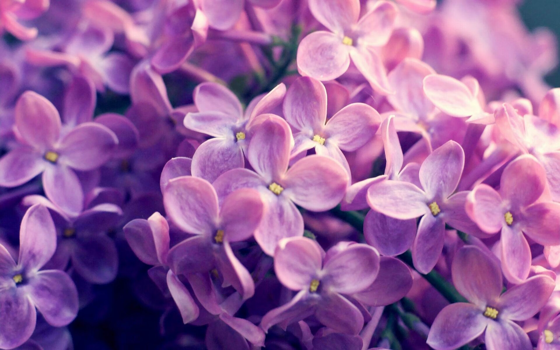 Jiuyou-Gen.G夺得LCK季后赛冠军，lck季后赛赛程结果