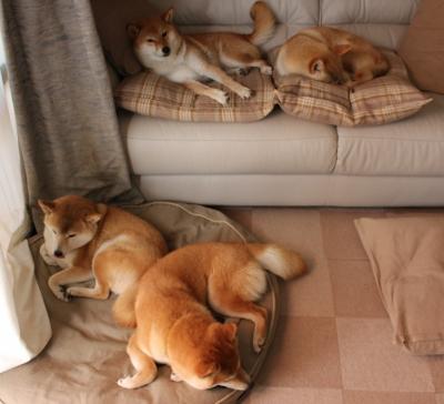 EDG赛季关键战役精彩回顾，edg最佳战绩