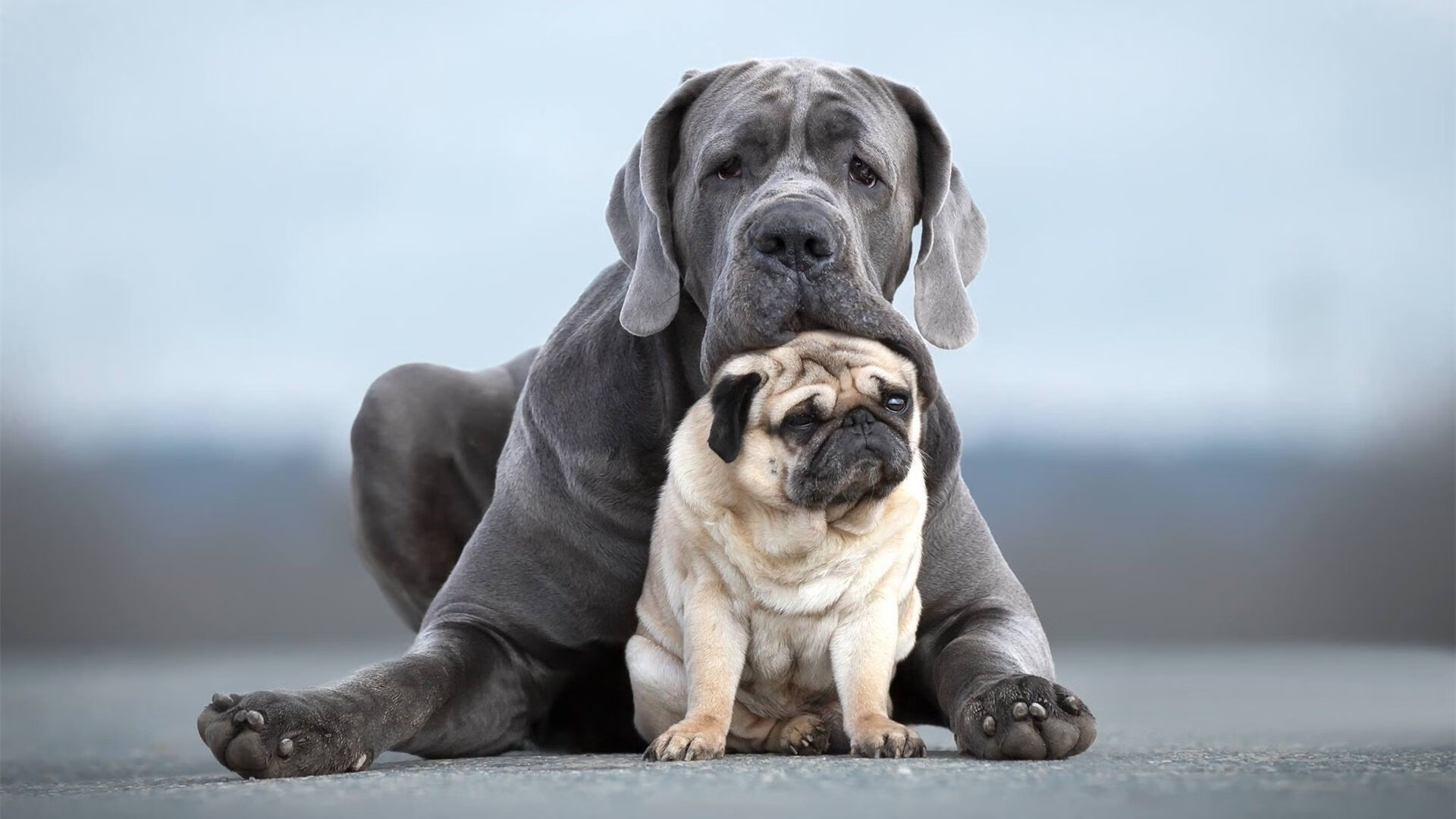 九游网-RNG教练团队战术调整显成效，rng 教练