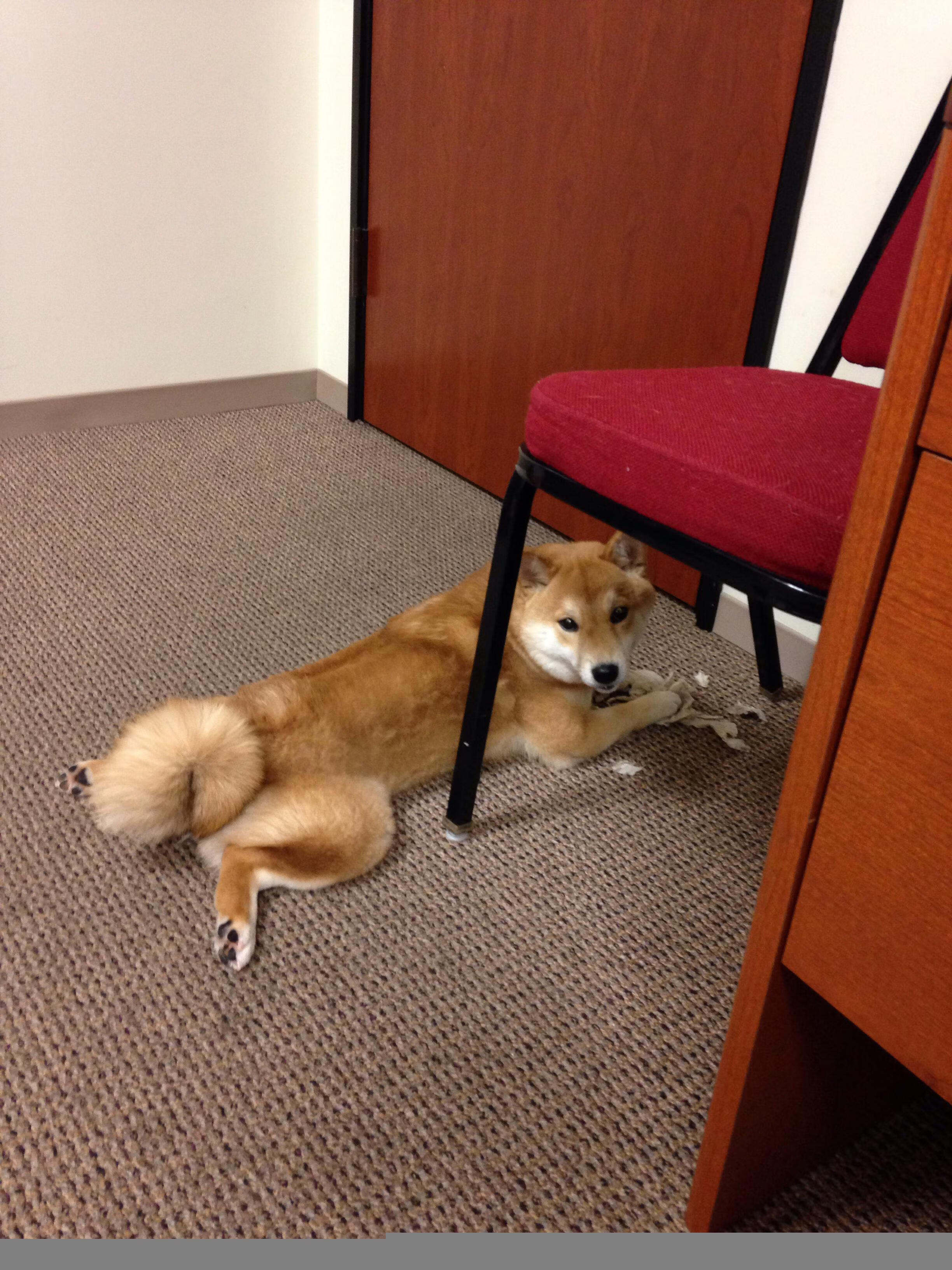 中国篮球青训基地设施建设标准,中国篮球青训基地设施建设标准最新