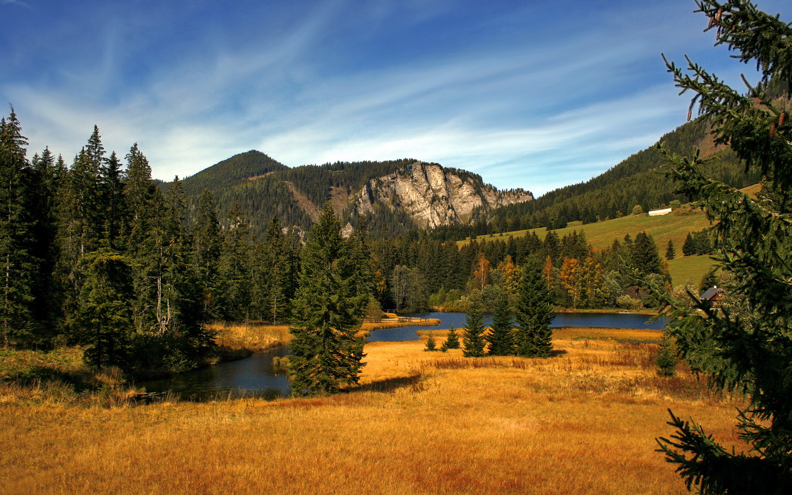 塞内加尔男足在巴黎奥运会比赛中以3-0战胜美国，塞内加尔足协