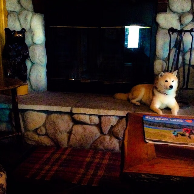 九游登录中心-沃尔夫斯堡连败升级区，主帅面临压力，沃尔夫斯堡队