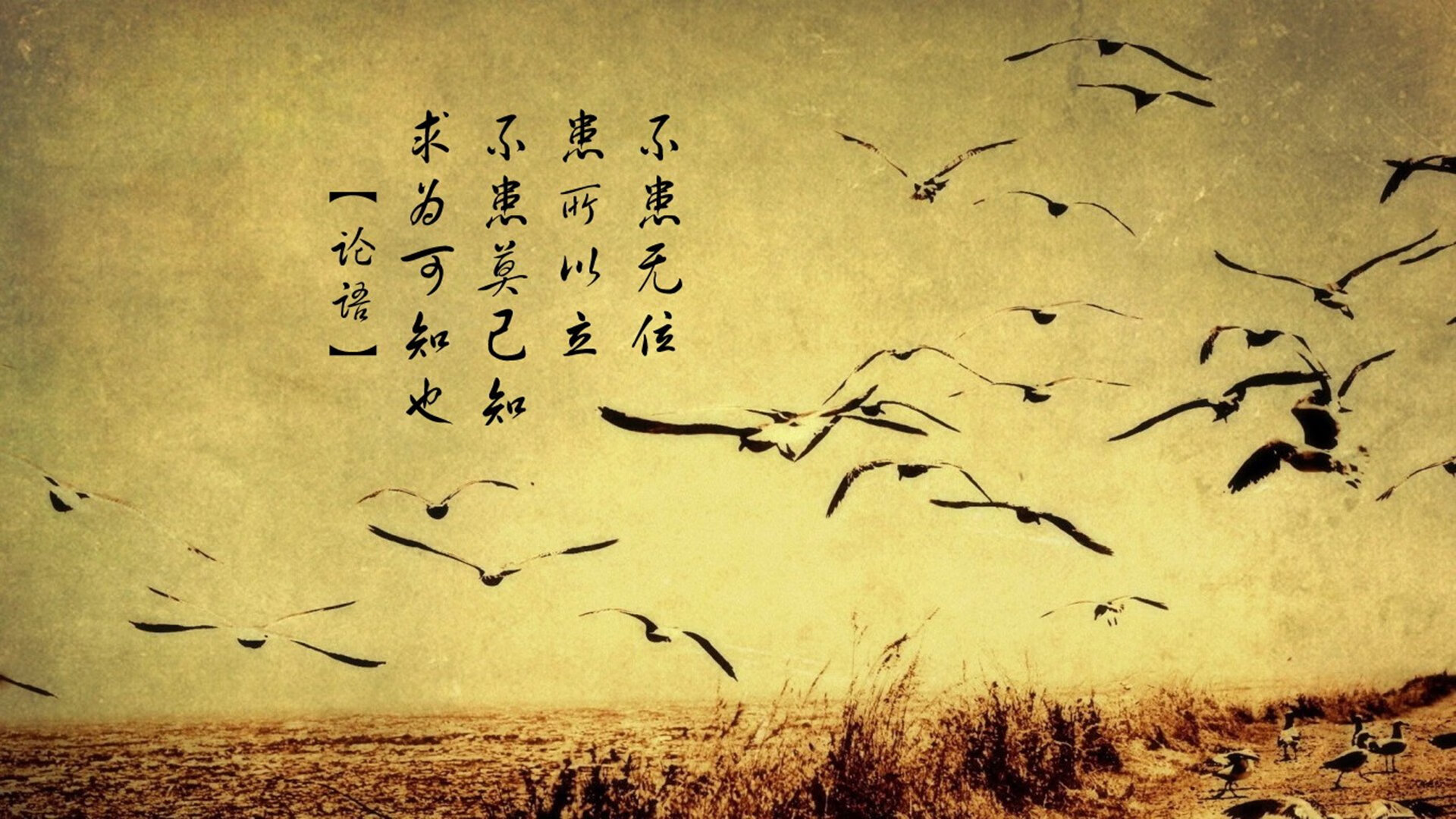 中国篮球联赛市场细分与精准营销策略,篮球市场分析报告