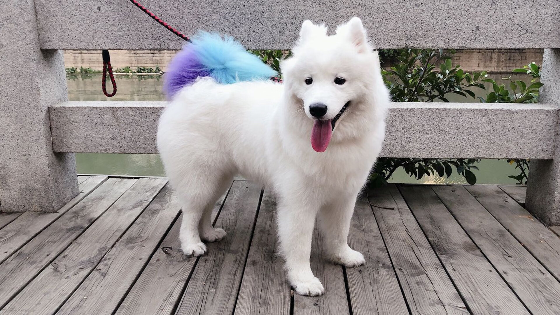 CBA球队科学训练 力求突破,cba球员训练时间