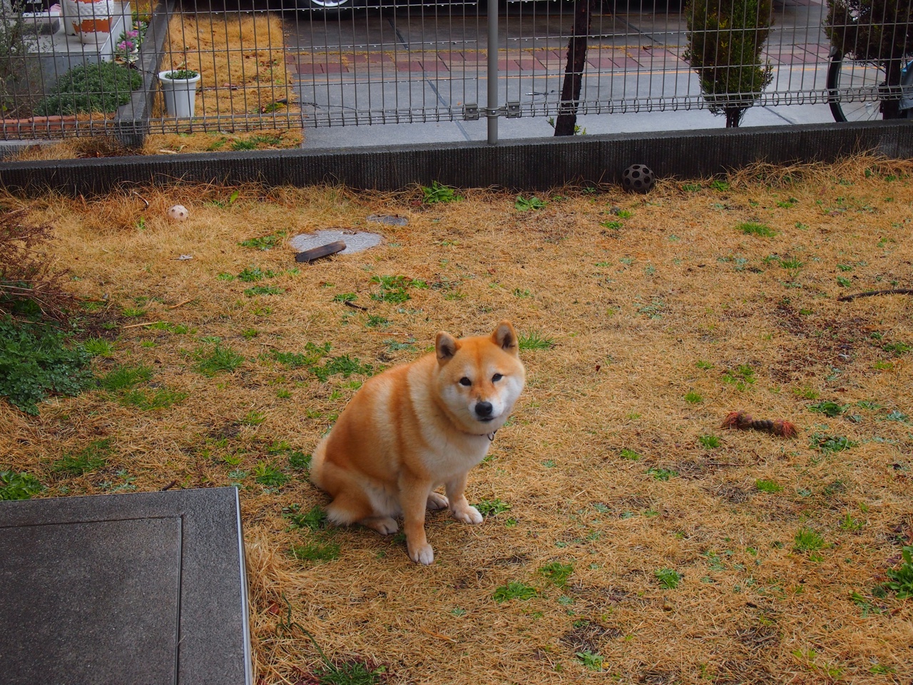 体育新闻中心参与制定体育融媒体课程教学大纲，体育媒体工作