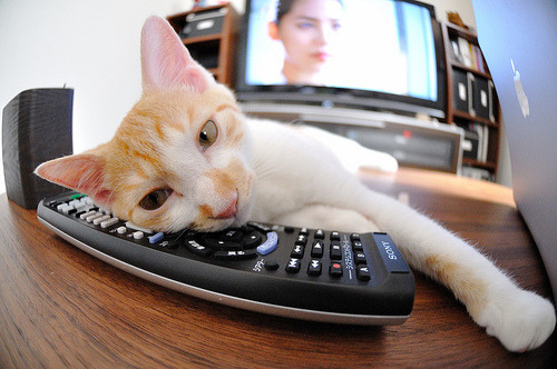 九游娱乐(jiuyou)官方网站-印度乒乓赛制解析：多元化赛事体系如何促进发展，印度乒乓球名将