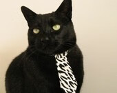 波兰队在国际乒联混合团体世界杯中的表现总结与反思，波兰乒乓球公开赛