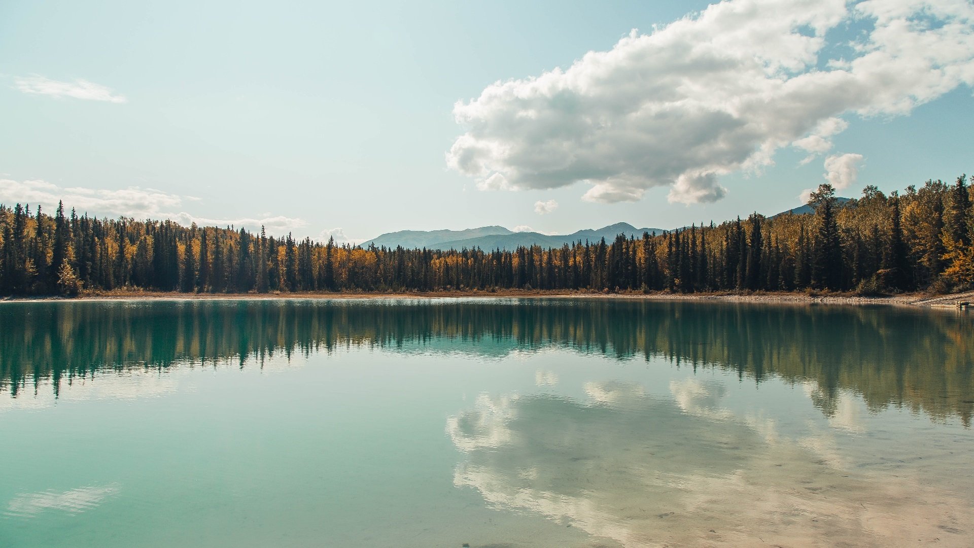 职业球队资金来源多元化探讨,球队支出
