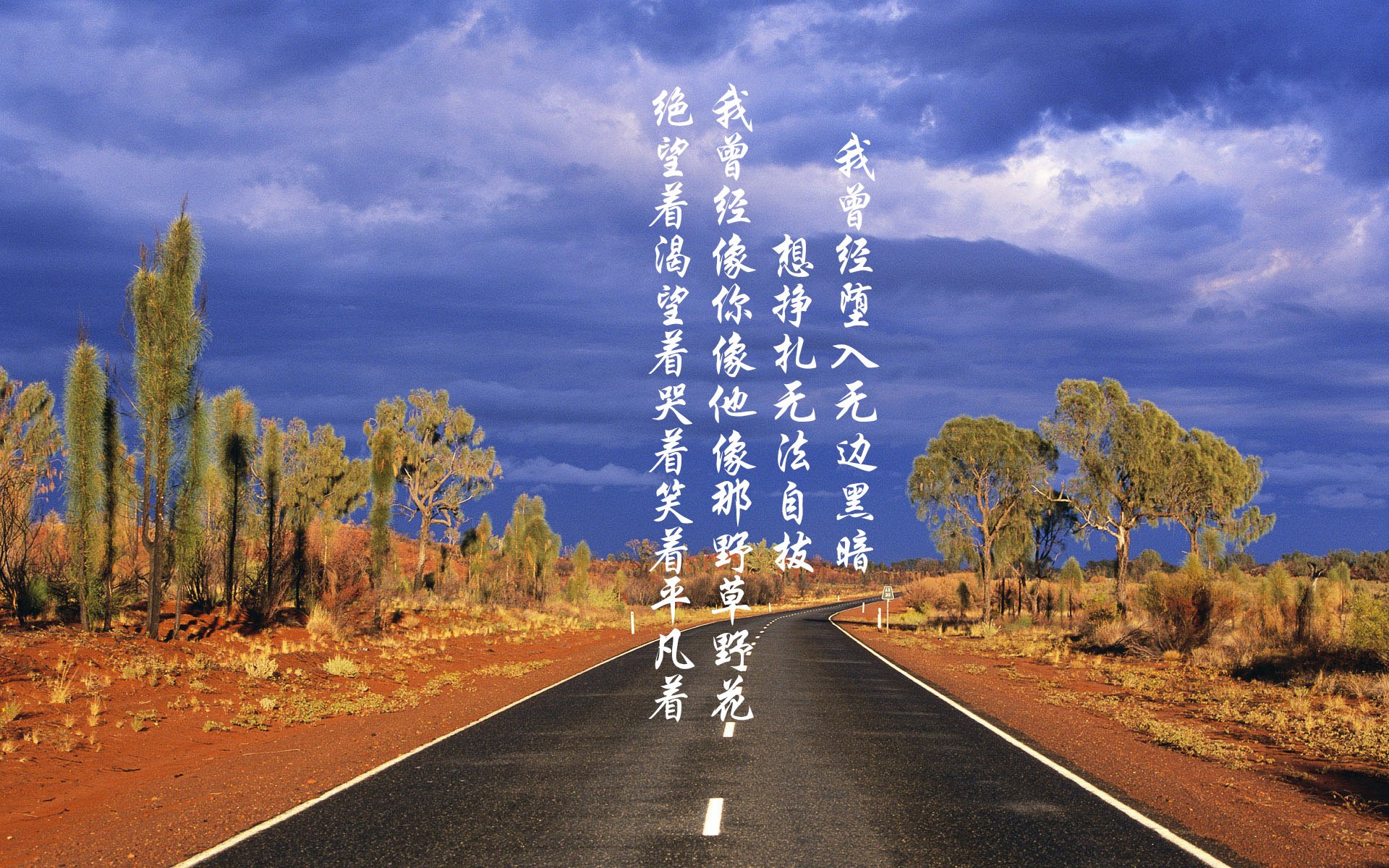 九游下载中心-希腊女篮在欧洲锦标赛中再登宝座，诠释传承与创新，希腊女球迷