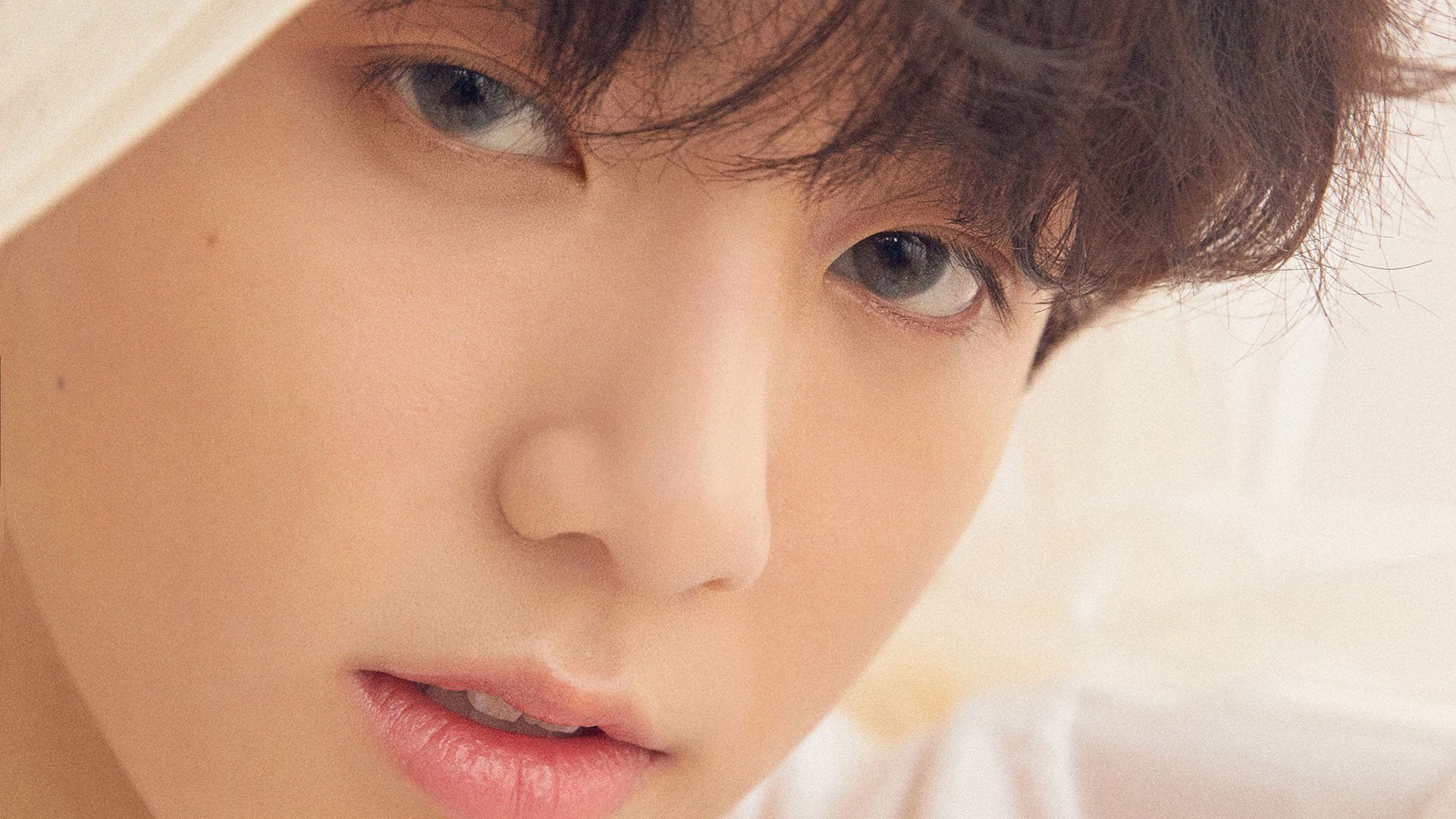 瑞士男队自由泳表现稳健,瑞士游泳