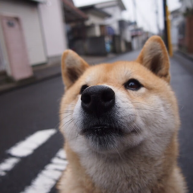 篮球联赛视频分析服务面向基层教练开放,篮球培训视频