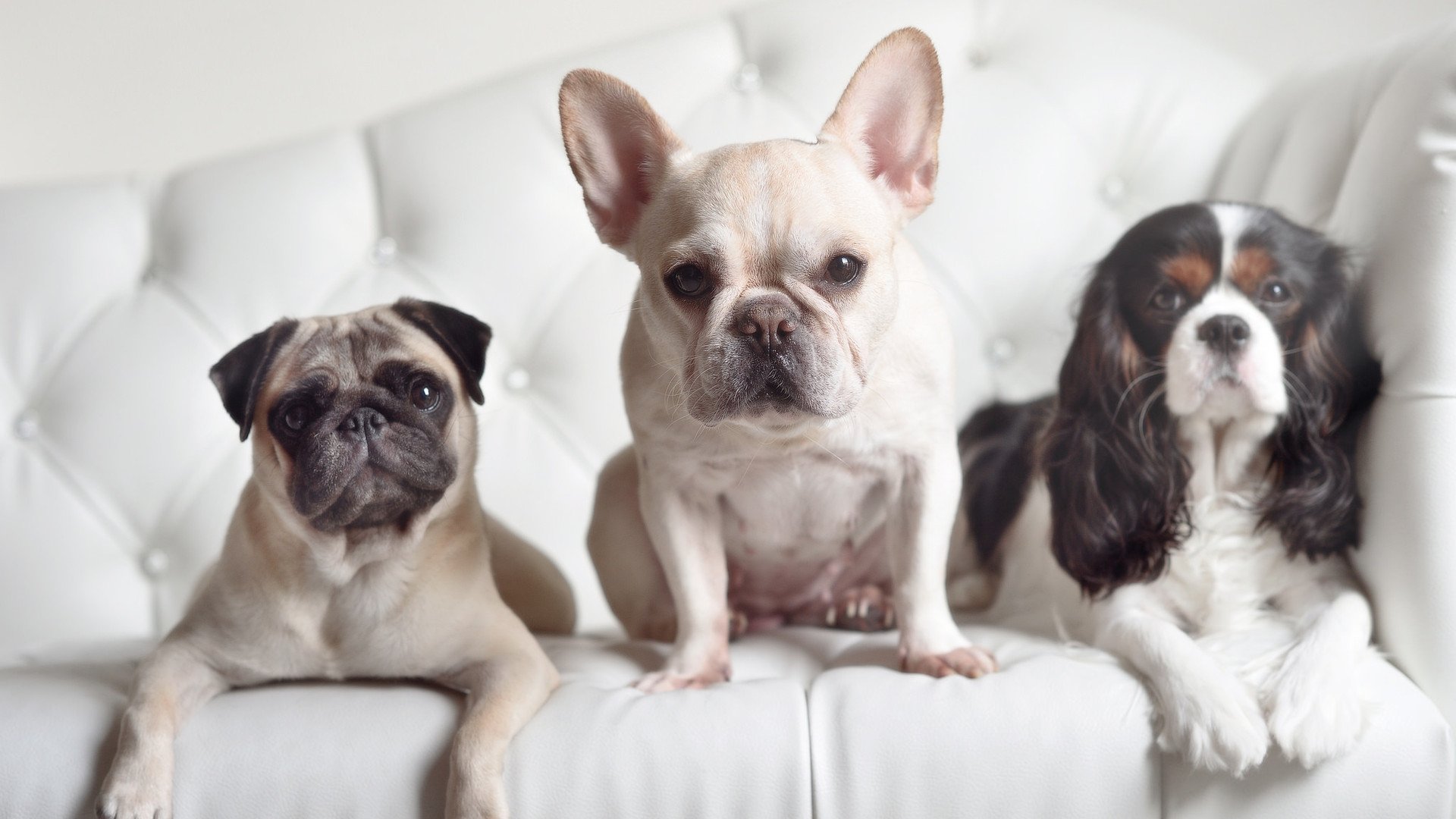 九游-美洲杯决赛：加时赛中的绝美配合打破僵局，美洲杯决赛将设有加时赛