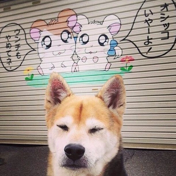 青少年篮球等级测评体系完善为人才储备建立评价标准,青少年篮球运动等级标准与测试