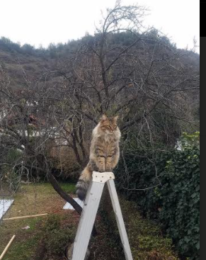 九游登录入口-青海男篮在国际友谊赛中表现抢眼，迎头赶上世界强队